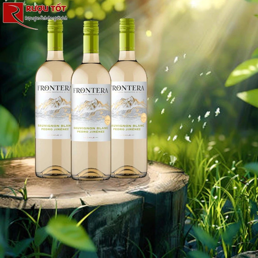 Rượu Chile Frontera Sauvignon Blanc