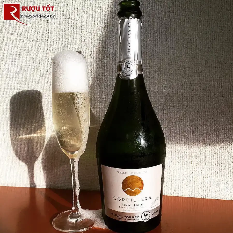 ruou cordillera brut pinot noir miguel torres