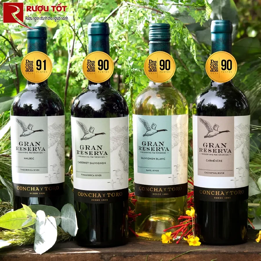 Rượu Gran Reserva Carmenere