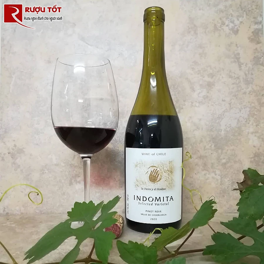 ruou indomita selected varietal cabernet sauvignon 14% 750ml