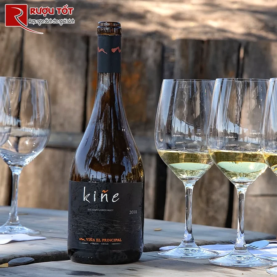 Rượu Kine Verdejo Vina El