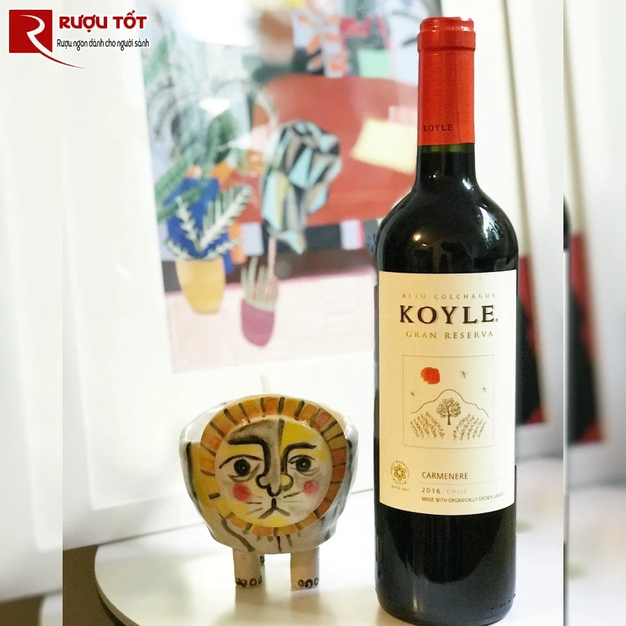 ruou koyle carmenere gran reserva