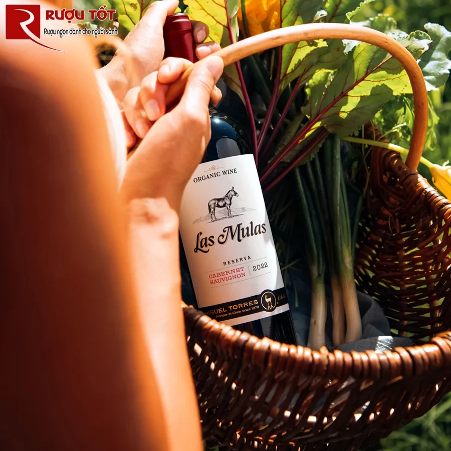 Rượu Las Mulas Organic Cabernet Sauvignon