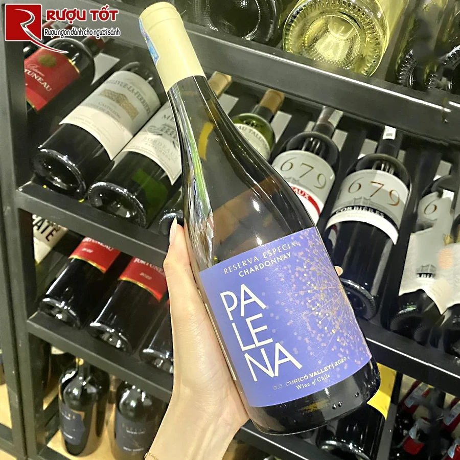 Rượu Palena Reserva Chardonnay