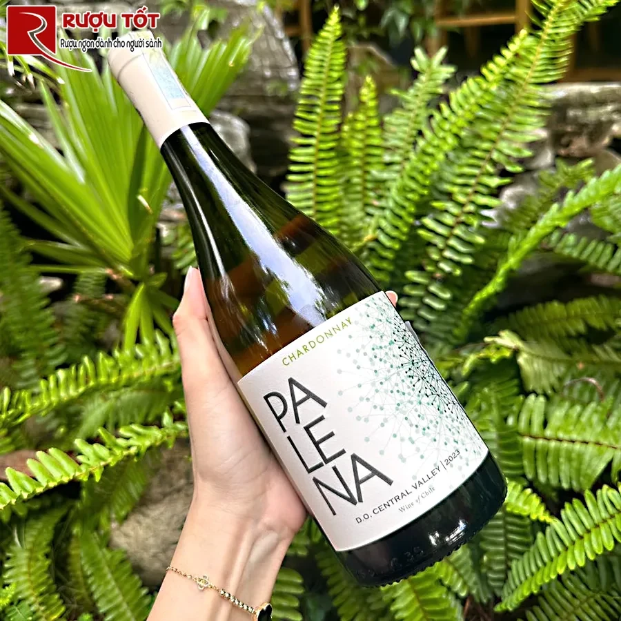 Rượu Palena Sauvignon Blanc