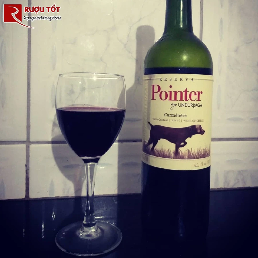 ruou pointer undurraga gran reserva cabernet sauvignon