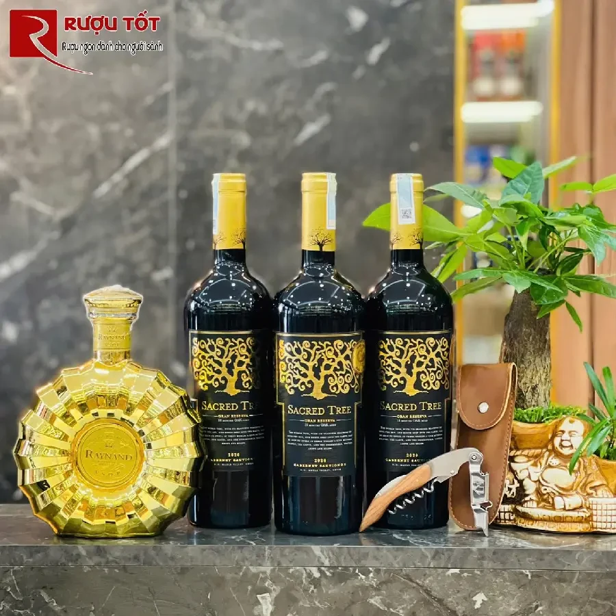 ruou sacred tree reserva cabernet sauvignon