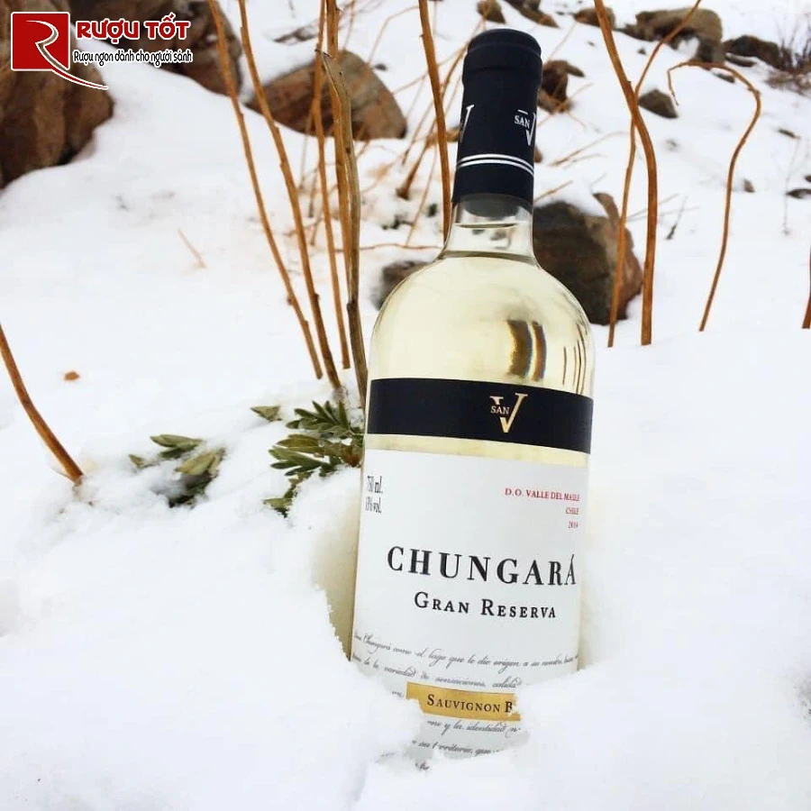 ruou san v chungara sauvignon blanc gran reserva chile hao hang