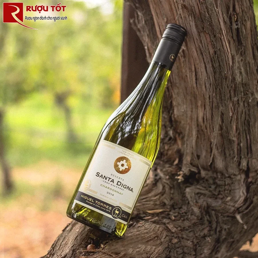 Rượu Santa Digna Reserva Chardonnay