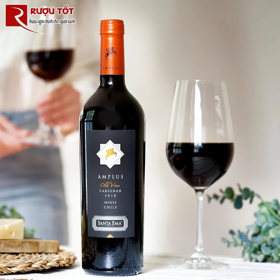 Rượu Santa Ema Amplus Carignan