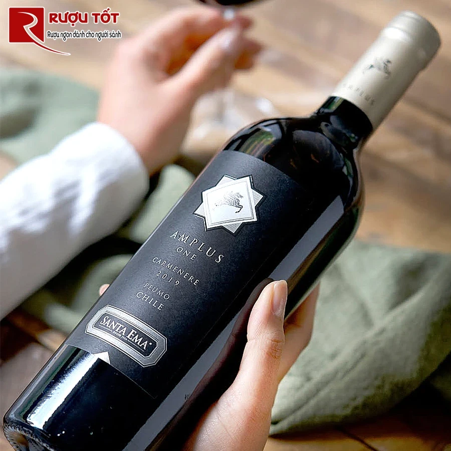 Rượu Santa Ema Carmenere Amplus