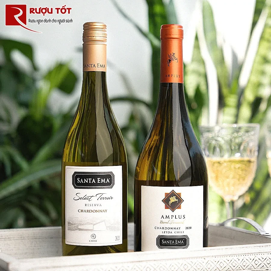 Rượu Santa Ema Chardonnay Amplus