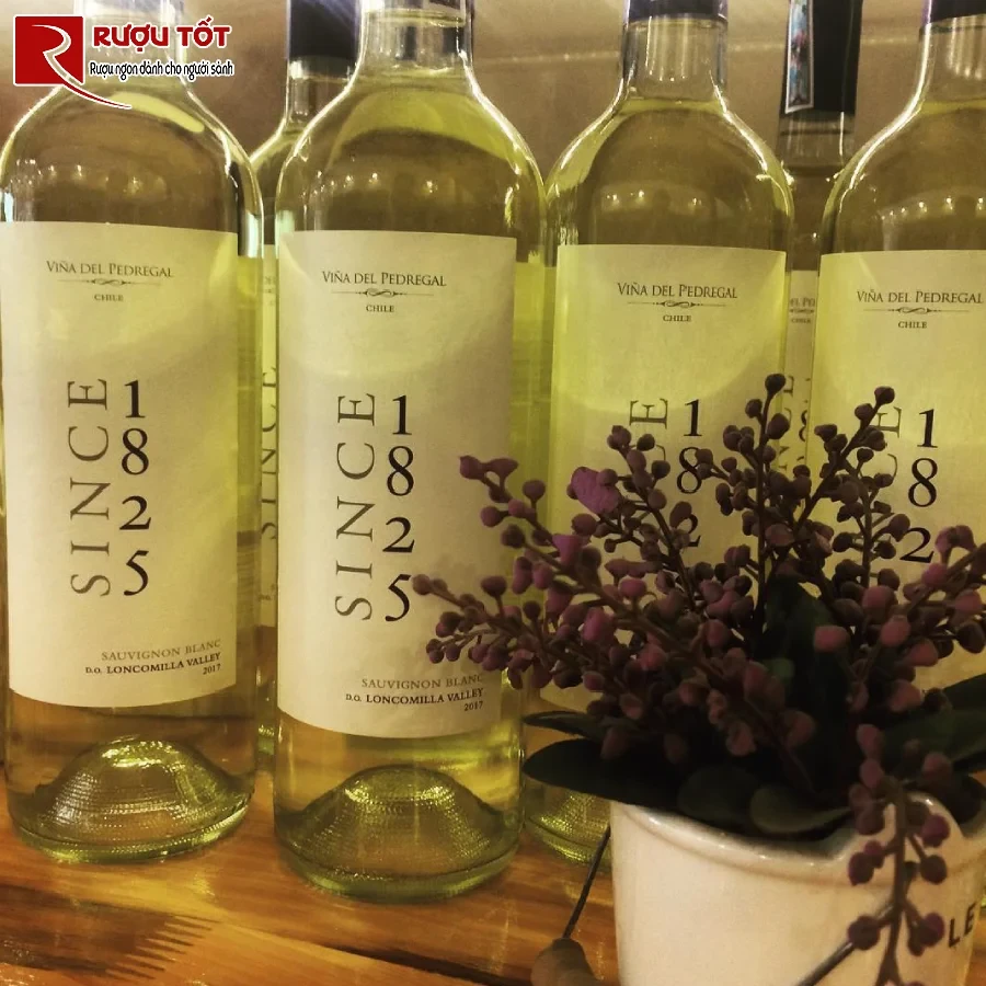 ruou since 1825 classic white