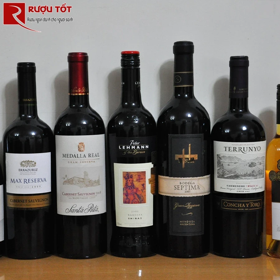 Rượu Terrunyo Carmenere Block 27