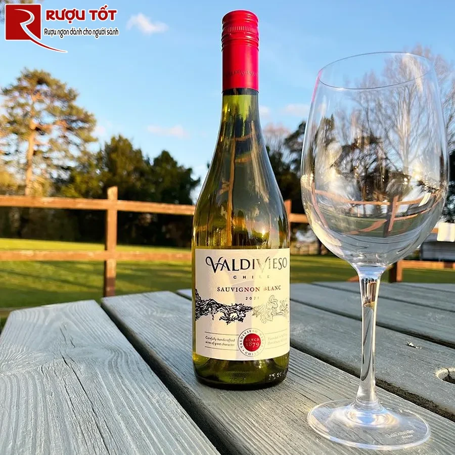 Rượu Valdivieso Winemaker Reserva
