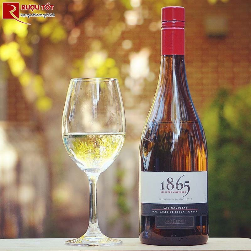 Rượu Vang 1865 Selected Vineyard Sauvignon Blanc