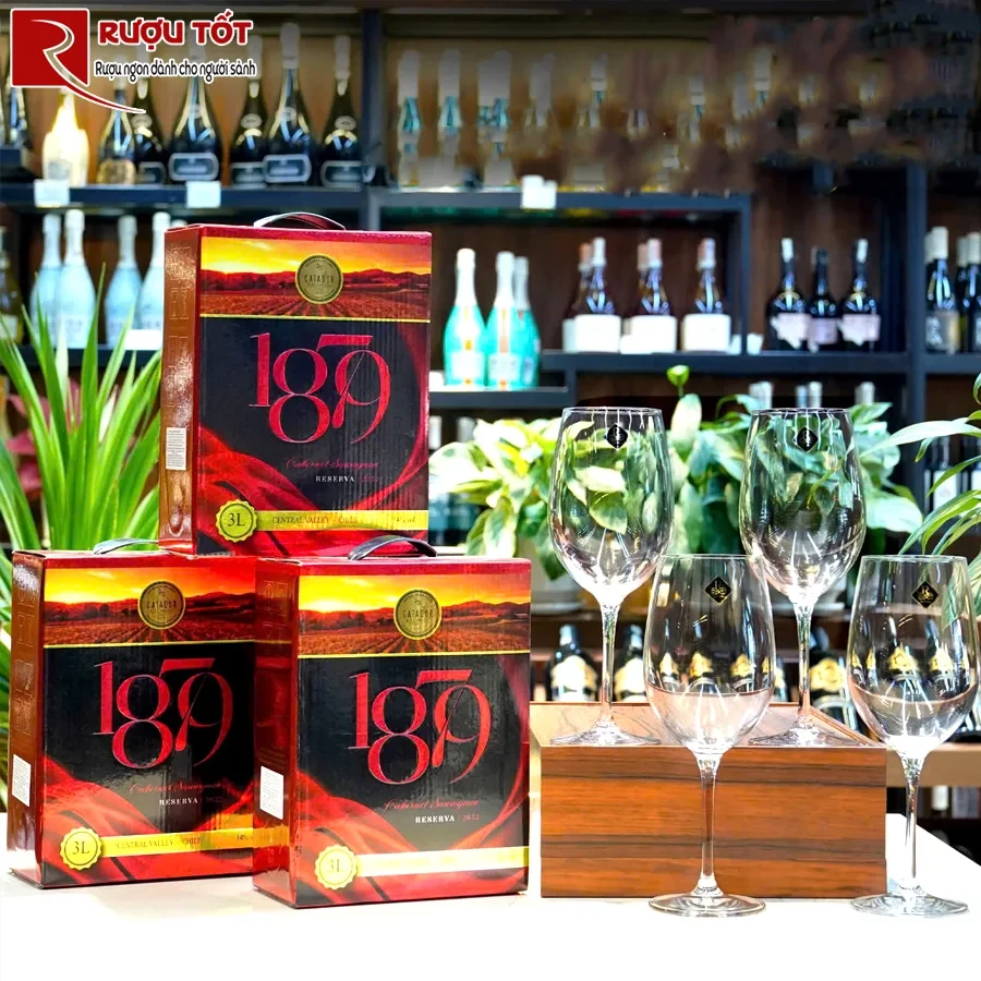 Rượu vang 1879 Reserva Cabernet Sauvignon-1
