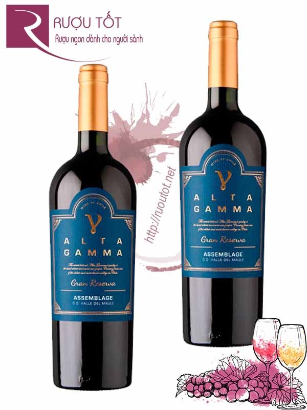 Rượu Vang Gamma Alta Gran Reserva Assemblage Hảo Hạng