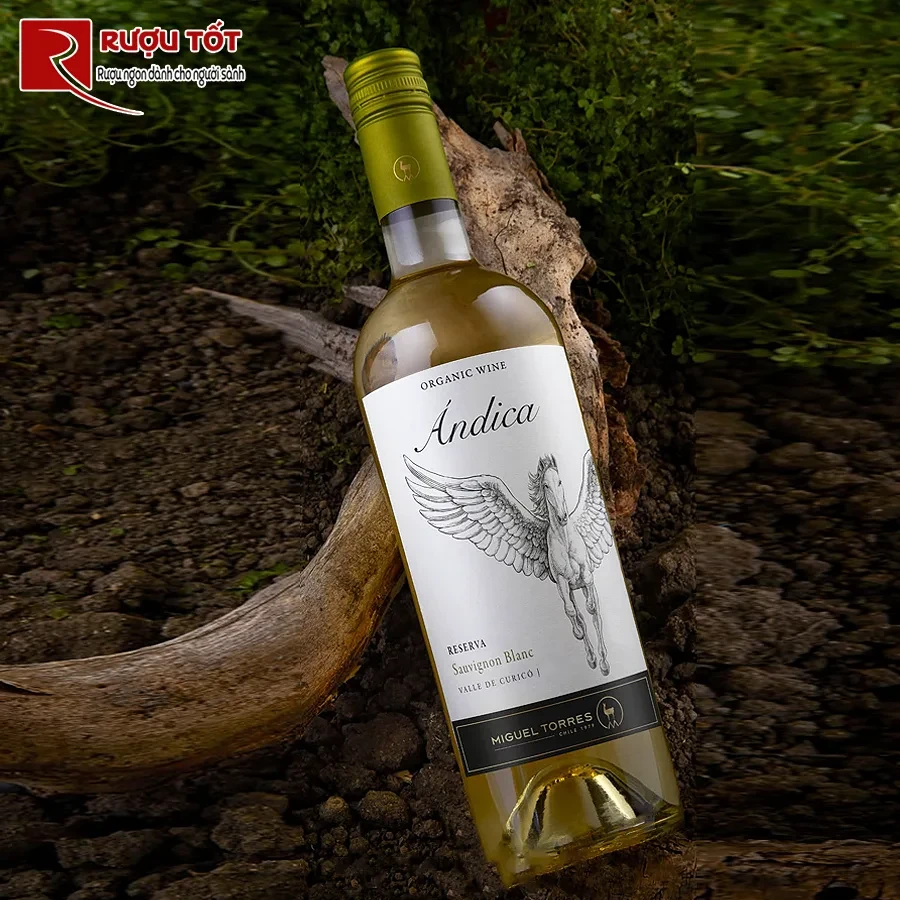 Rượu vang Andica Reserva Sauvignon Blanc