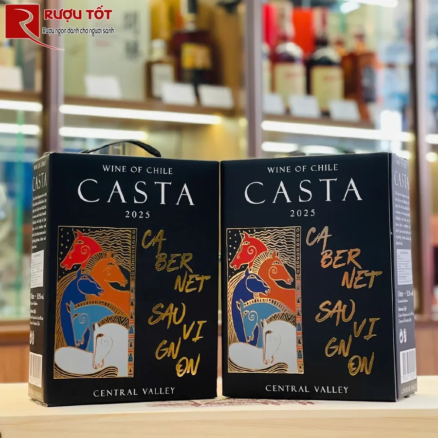 ruou vang bich casta chile