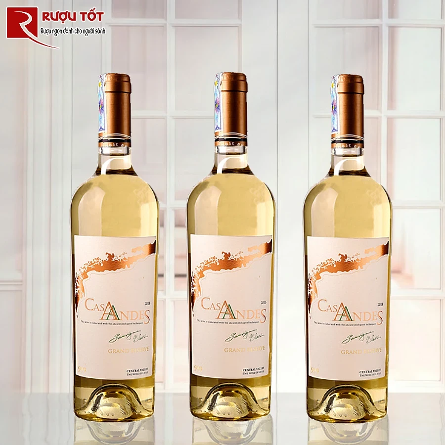 ruou vang cas andes gran reserva sauvignon blanc