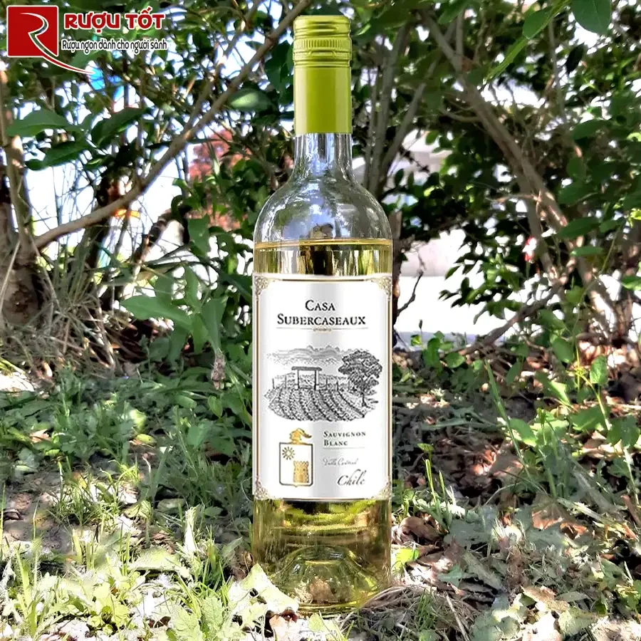 Rượu vang Casa Subercaseaux Sauvignon