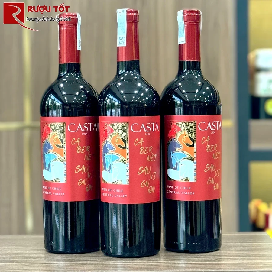 Rượu vang Casta Cabernet Sauvignon Central Valley