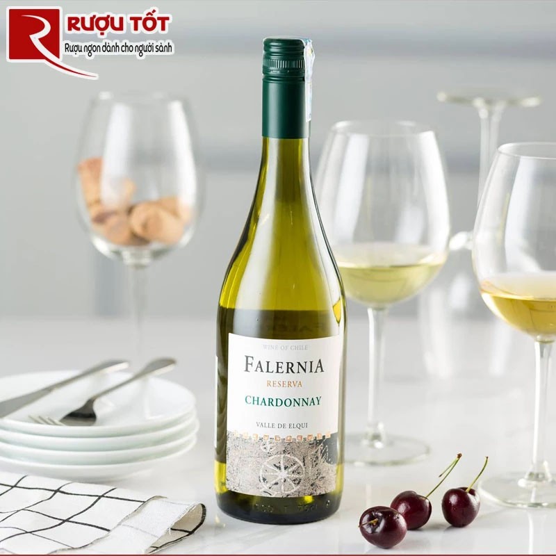 Rượu vang Chile Falernia