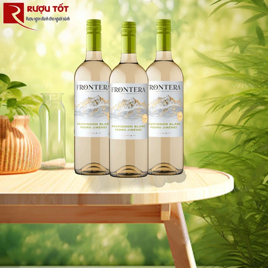 Rượu vang Chile Frontera Sauvignon Blanc