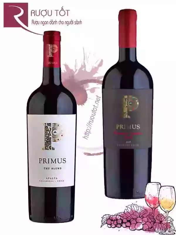 Rượu vang Chile Primus chính hãng