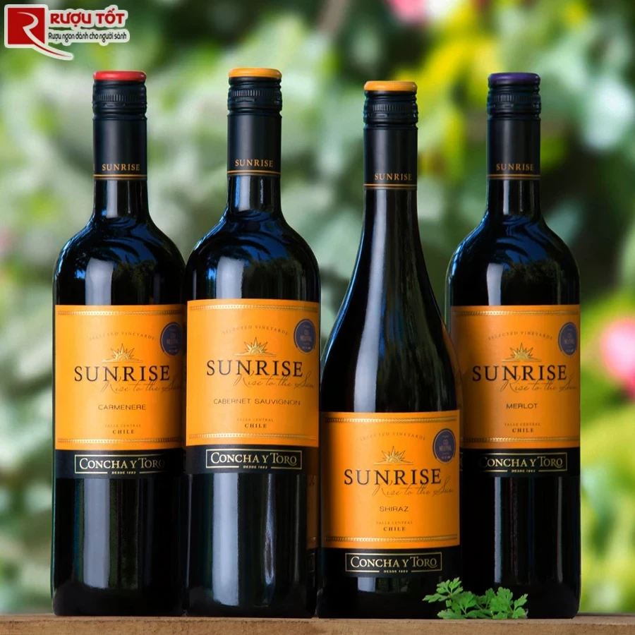 Ruou vang Concha Y Toro Sunrise Shiraz