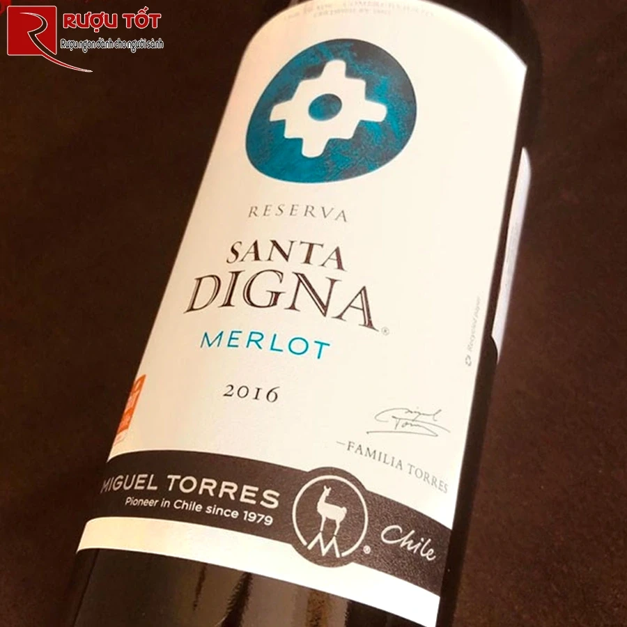 Rượu vang đỏ Santa Digna Merlot Reserva