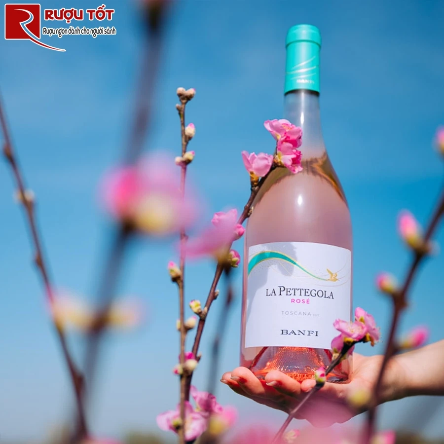 Rượu vang La Pettegola Rose Banfi