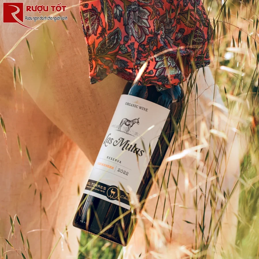 Rượu vang Las Mulas Organic Cabernet Sauvignon