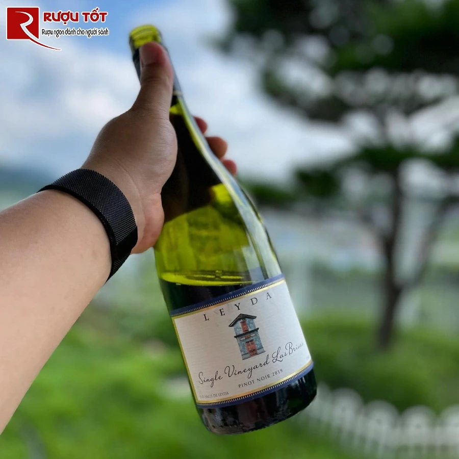ruou vang leyda single vineyard las brisas pinot noir