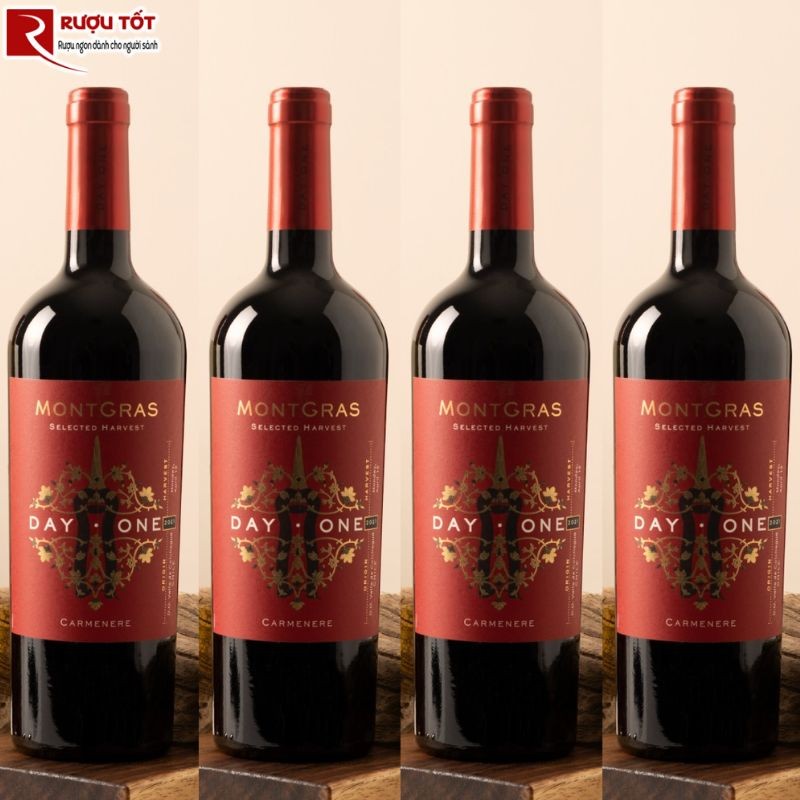 Rượu vang MontGras Day One Carmenere