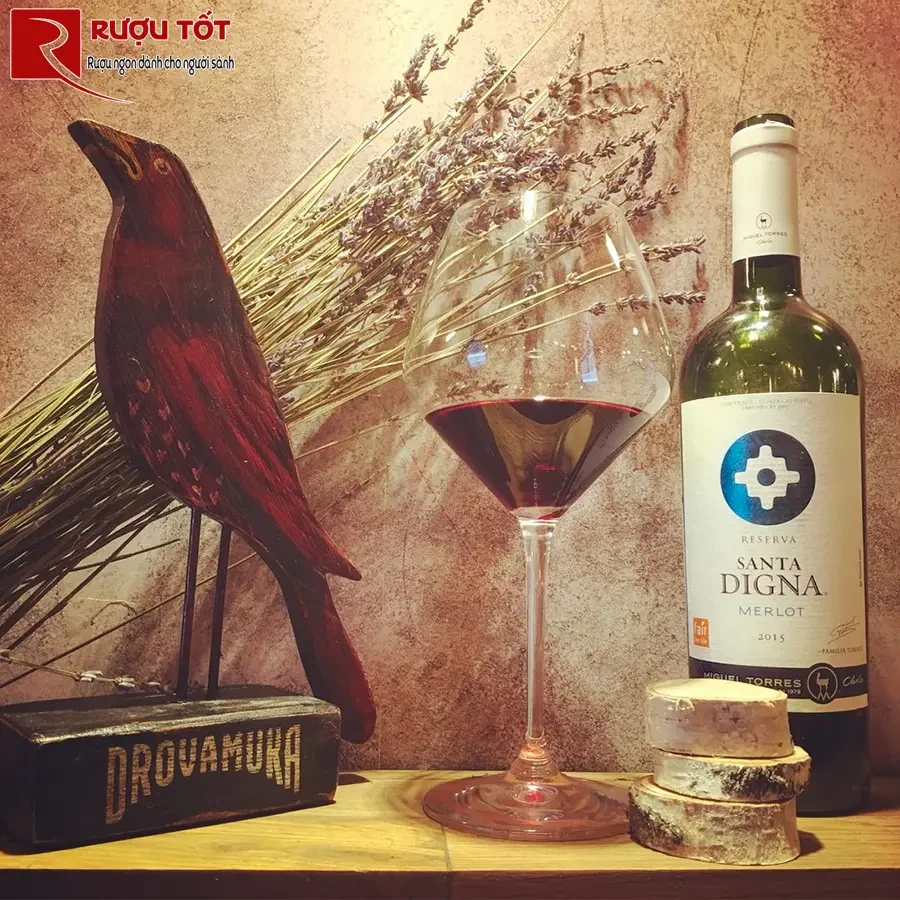 Rượu vang Santa Digna Merlot Reserva