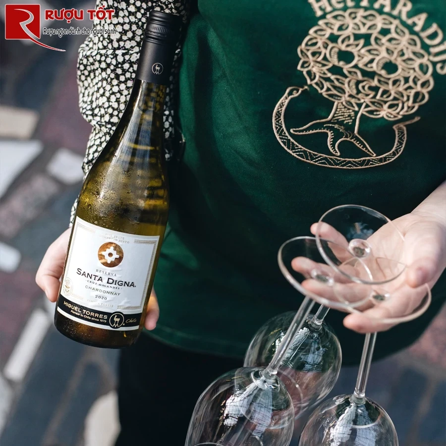 Rượu vang Santa Digna Reserva Chardonnay