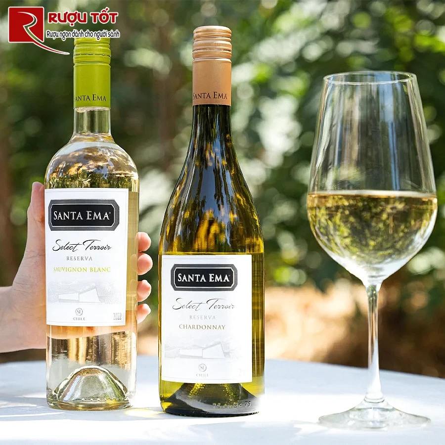 Rượu vang Santa Ema Chardonnay Terroir Reserva