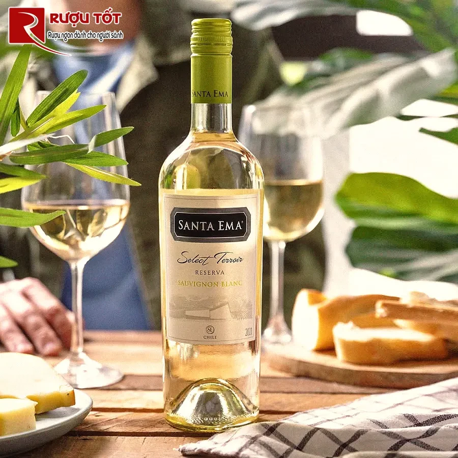 Rượu vang Santa Ema Terroir Reserva