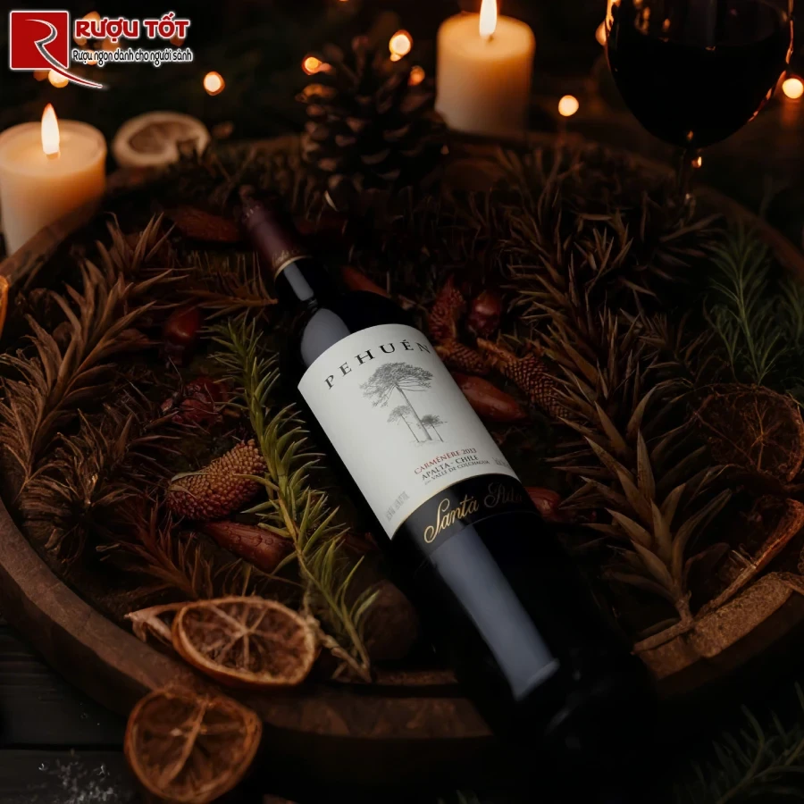 ruou vang santa rita pehuen chat luong