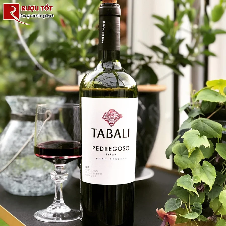 ruou vang tabali pedregoso gran reserva 14% 750ml chile