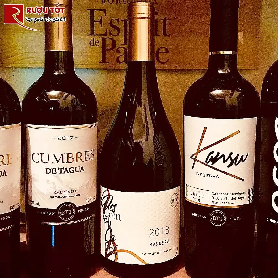 ruou vang tagua descomplicados syrah maulle valley