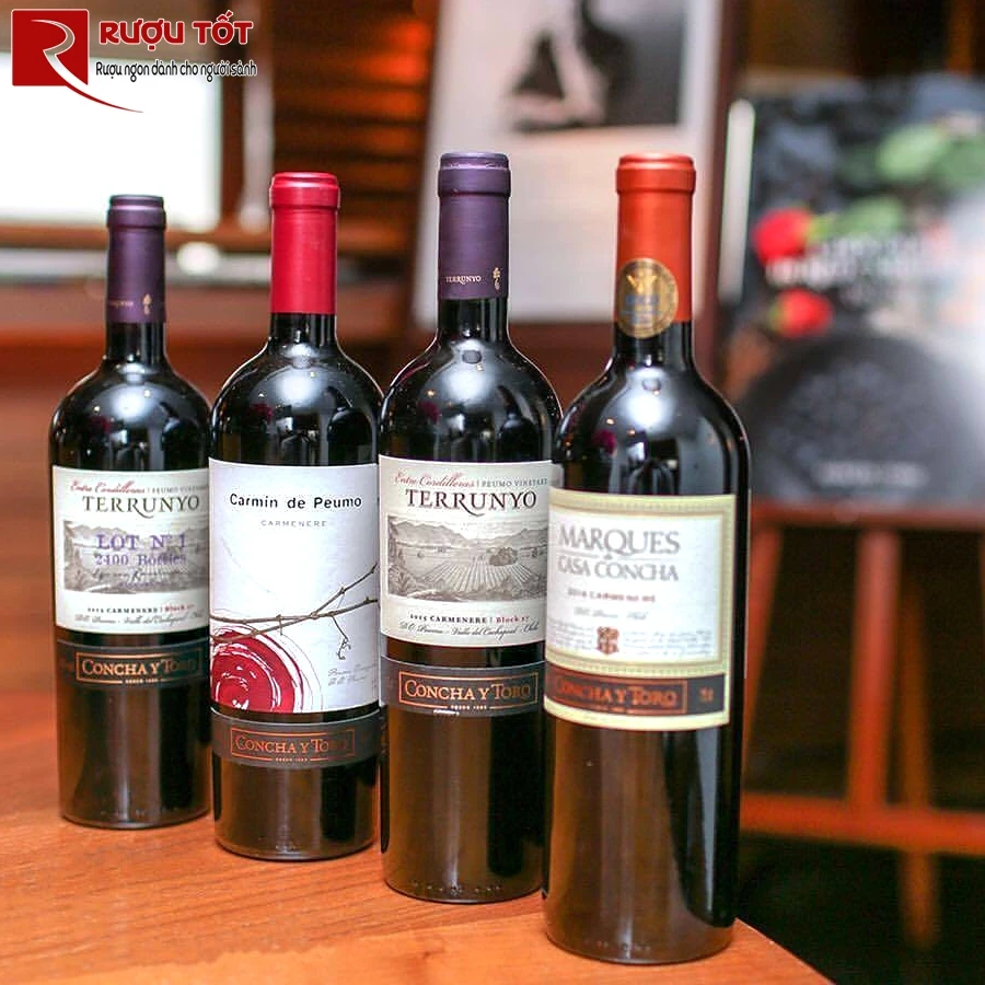 Rượu vang Terrunyo Carmenere Block 27-2