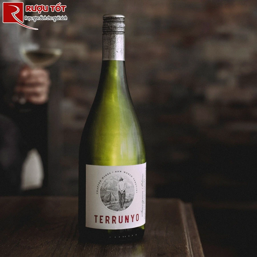 Rượu vang Terrunyo Sauvignon Blanc