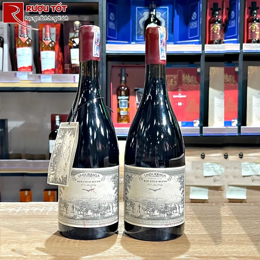 Rượu vang Undurraga Red Field Blend