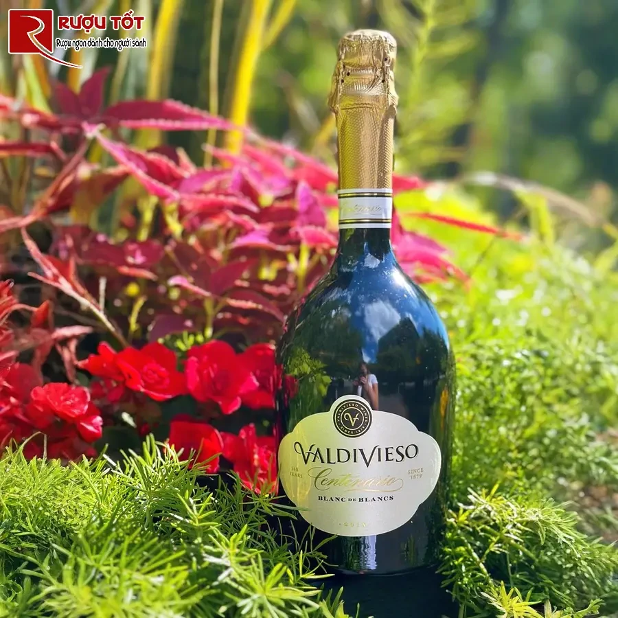 ruou vang valdivieso sparkling blanc de blancs