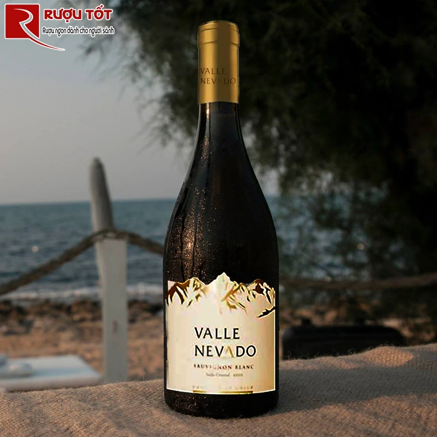 Rượu vang Valle Nevado Red