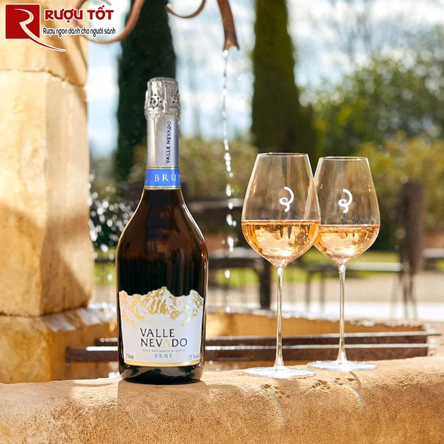 Rượu vang Valle Nevado Sparkling