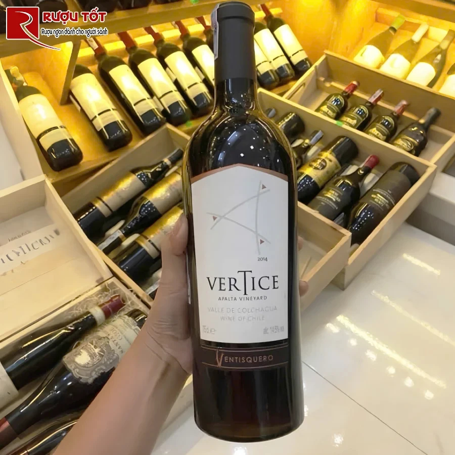 ruou vang vertice apalta vineyard